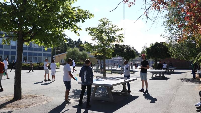 Barn spelar pingis Barn spelar pingis